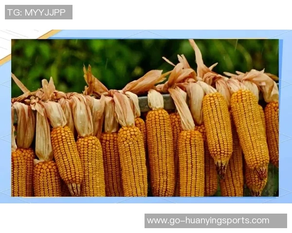 掌握颠足球的技巧与练习方法助你提升球技的全面指南